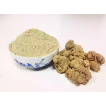 Notoginseng Radix et Rhizoma